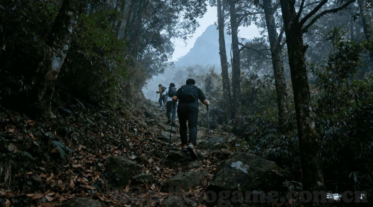 世界杯冰球锦标赛-世界杯冰球锦标赛，冰上速度与激情的盛宴