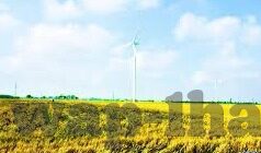 足球14场分析比分-足球14场分析比分，策略与洞察的深度探索